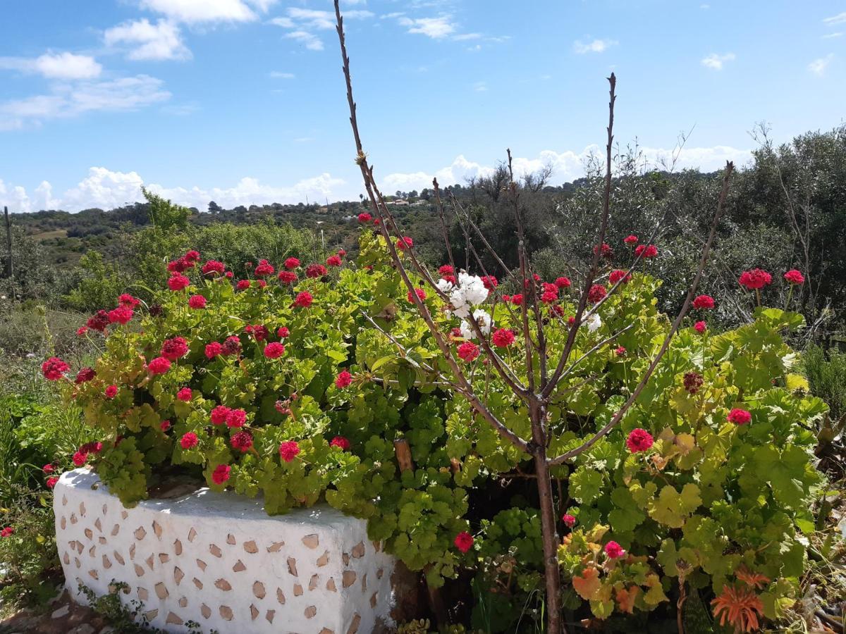 Quinta da Jolanda-Happy Family Farm Daire Lagos Dış mekan fotoğraf