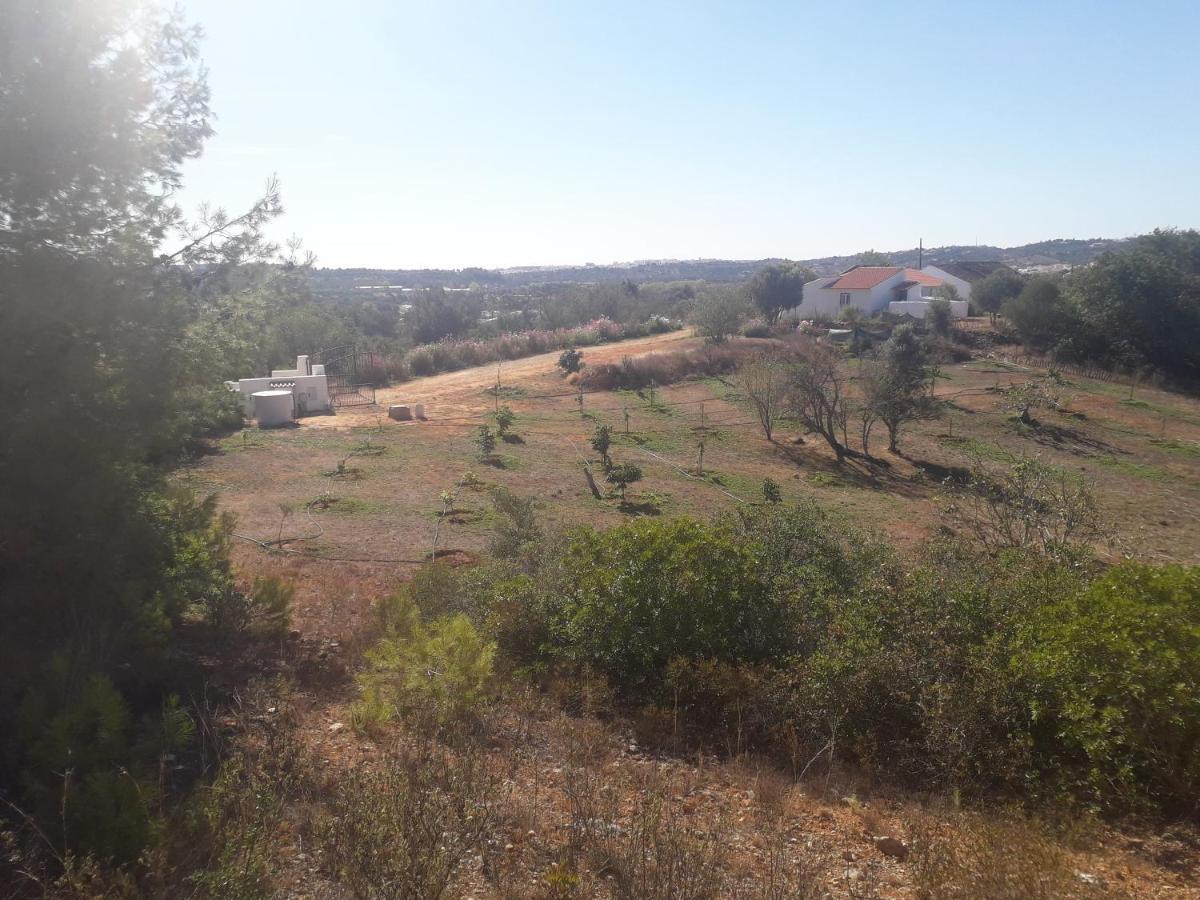 Quinta da Jolanda-Happy Family Farm Daire Lagos Dış mekan fotoğraf